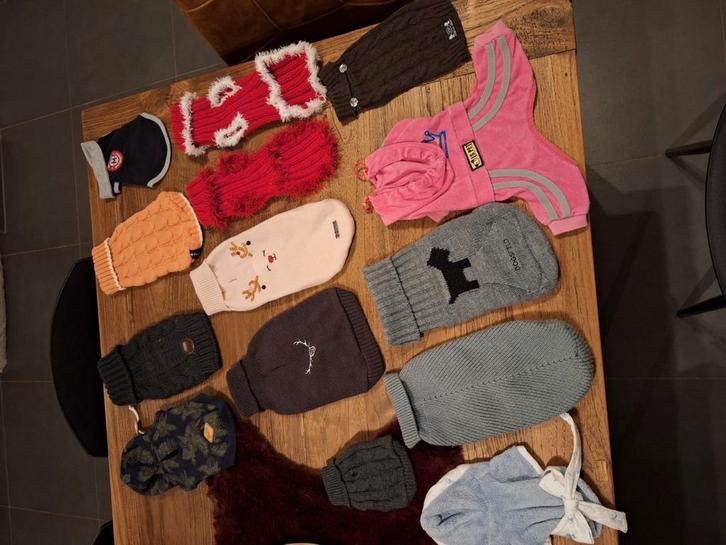Hondenkleding, Dieren en Toebehoren, Hondenkleding, Ophalen of Verzenden