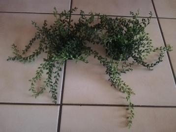 Plante artificielle pour aquarium...  beschikbaar voor biedingen