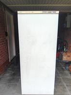 Diepvries (BOSCH - economic froster), Gebruikt, 160 cm of meer, Ophalen, Vrieskast