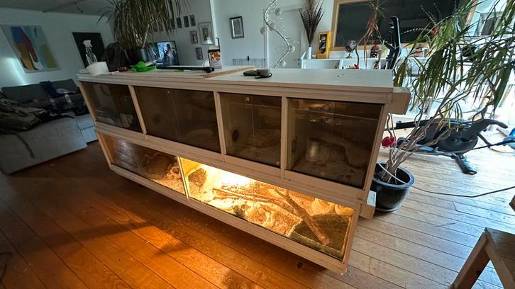 Grand terrarium en bois, Animaux & Accessoires, Reptiles & Amphibiens | Accessoires, Utilisé, Terrarium ou Paludarium, Enlèvement