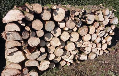 Bois livré 1m/50cm/33cm (LIRE), Tuin en Terras, Brandhout, Ophalen