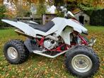 Quad, Motoren, 450 cc, 1 cilinder, 12 t/m 35 kW