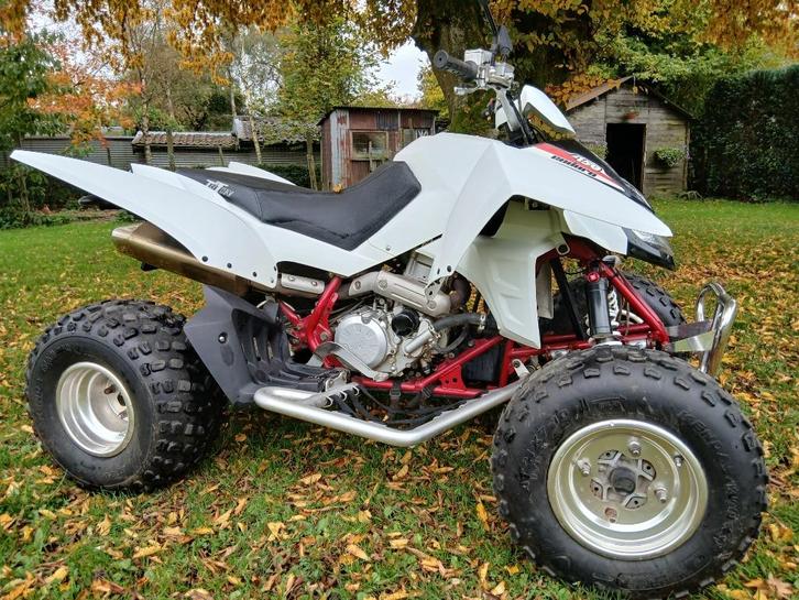 Quad, Motoren, Quads en Trikes, 12 t/m 35 kW, 1 cilinder, Ophalen