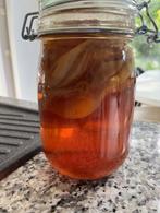 kombusha scoby starter, Ophalen of Verzenden