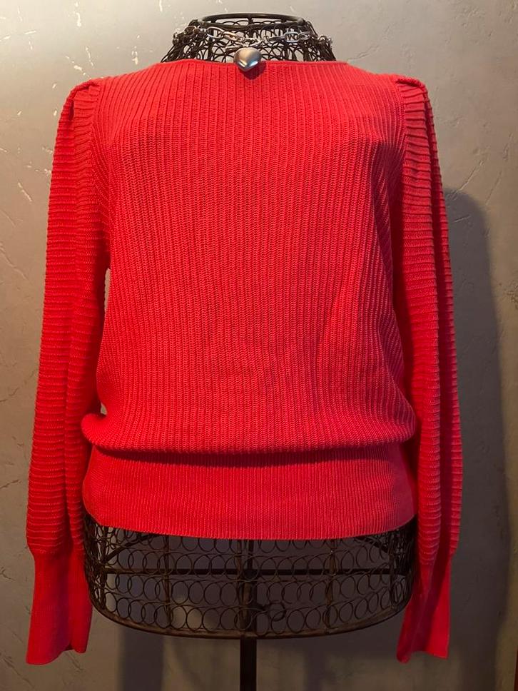 Caroline Biss 36 Nieuw knap fijn truitje met detail, Kleding | Dames, Truien en Vesten, Nieuw, Maat 36 (S), Roze, Ophalen of Verzenden