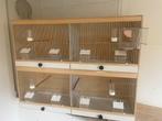 Kweekbakken vogels, Dieren en Toebehoren, Ophalen, Hout