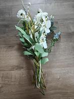 Nepplanten decoratie te koop, Overige soorten, Ophalen of Verzenden, In pot, Minder dan 100 cm