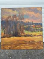 Huile sur panneau paysage signe tony reniers, Antiek en Kunst, Ophalen of Verzenden