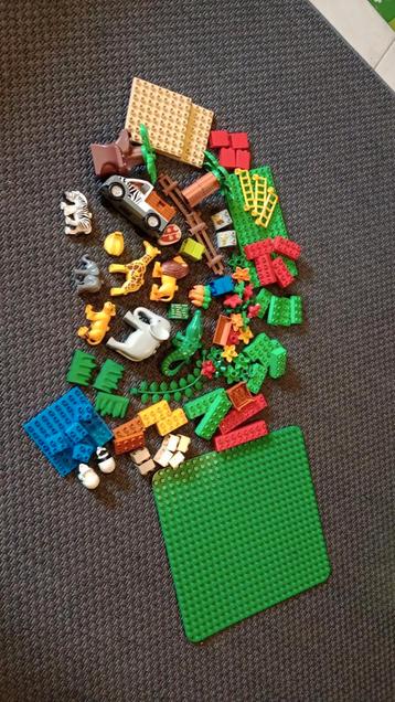 Duplo dierentuin  beschikbaar voor biedingen