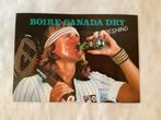Sticker Canada Dry Björn Borg, Verzamelen, Ophalen of Verzenden
