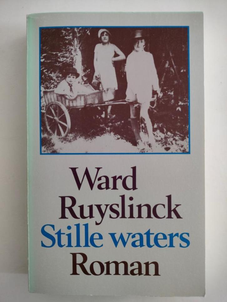 Stille waters - Ward Ruyslinck, Boeken, Romans, Ophalen