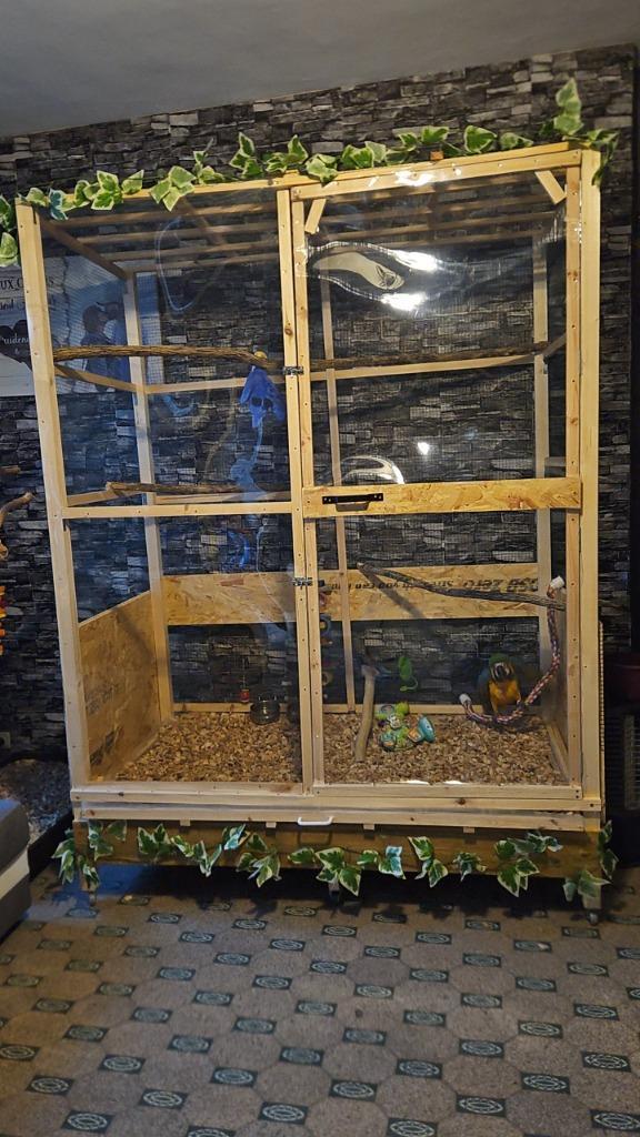 Volière artisanale – fabrication maison et sur mesure 🦜, Dieren en Toebehoren, Vogels | Hokken en Kooien, Nieuw, Volière, Hout