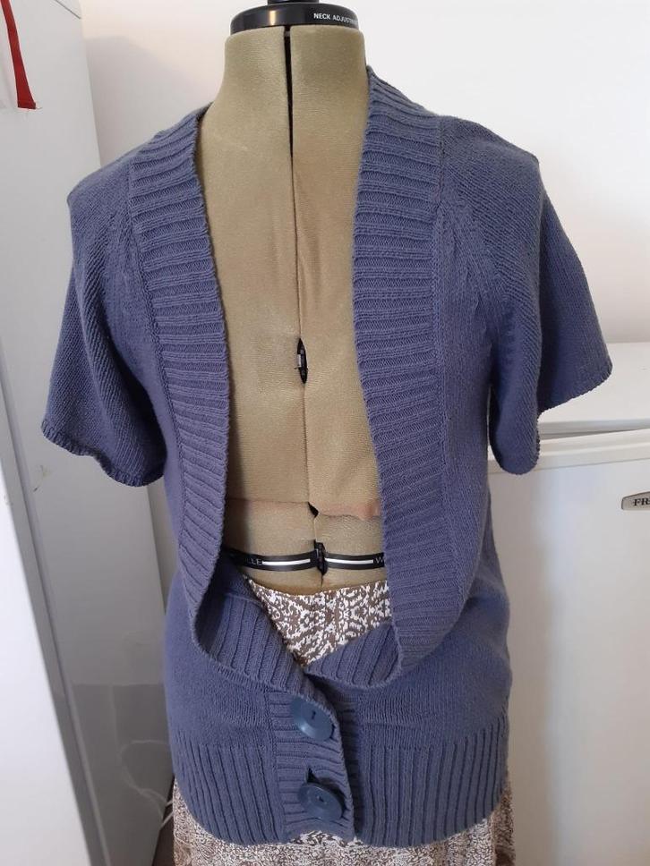 Cardigan manches coutes raglantes taille 40 - marque Phildar, Kleding | Dames, Truien en Vesten, Blauw, Ophalen of Verzenden