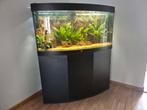 Aqarium 250L!, Dieren en Toebehoren, Ophalen