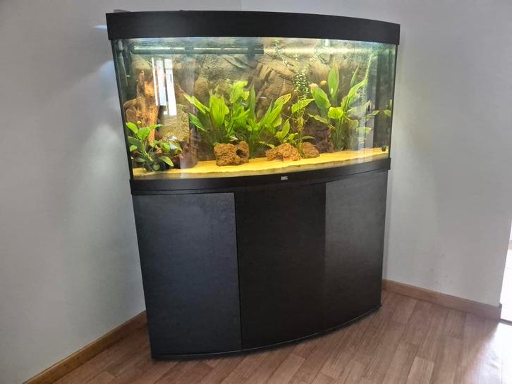 Aqarium 250L!, Dieren en Toebehoren, Vissen | Aquaria en Toebehoren, Ophalen