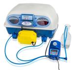 Broedservice (kriel) kippen en kwartels, Dieren en Toebehoren, Ophalen, Overige typen