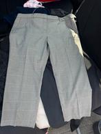 Damesbroek Canda premium, Kleding | Dames, Ophalen, Nieuw, Maat 46/48 (XL) of groter