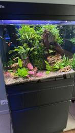 Red sea max 130, Dieren en Toebehoren, Ophalen, Gebruikt, Gevuld zoetwateraquarium