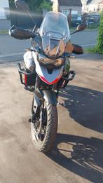 moto triumph tiger 900 gt pro, Motoren, Motoren | Triumph, Particulier