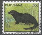 Botswana 1992 - Yvert 673 - Moerasmangoeste  (ST), Postzegels en Munten, Postzegels | Afrika, Verzenden, Gestempeld