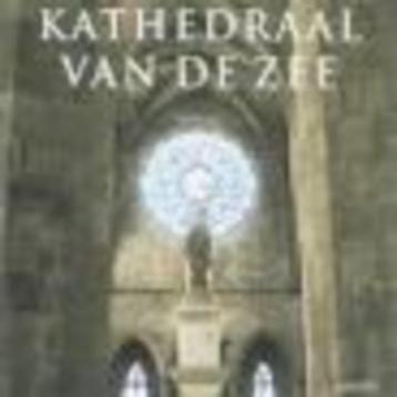 De kathedraal van de zee  ildefonso Falcones beschikbaar voor biedingen