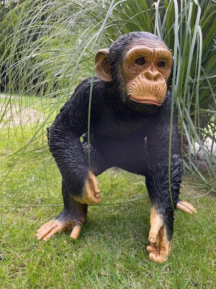 Kind aapje, tuin, babykamer, dieren 50cm, Tuin en Terras, Tuinbeelden, Nieuw, Dierenbeeld, Kunststof, Ophalen