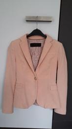 Blazer en velours rose taille XS de la marque ZARA, Enlèvement ou Envoi, Rose, Zara, Comme neuf