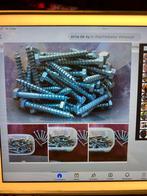 Nieuwe Hout bouten, Enlèvement, Neuf