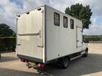 Iveco Daily 40C12 375 Paardenwagen klein rijbewijs, Gebruikt, Iveco, Overige brandstoffen, Bedrijf