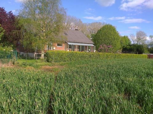 Maison recherche, Immo, Huizen te huur