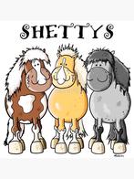 Jonge Shetlanders met Stamboom, Poney de récréation, Poney A (jusqu'à 1.17 m), Étalon, 0 à 2 ans