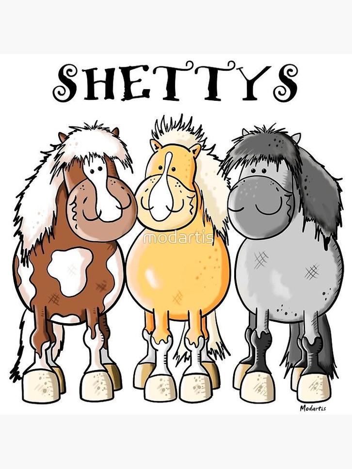 Jonge Shetlanders met Stamboom, Animaux & Accessoires, Poneys, Étalon, Non dressé, Poney A (jusqu'à 1.17 m), Poney de récréation