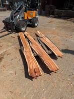Prachtige taxus schaaldelen, Ophalen, Plank