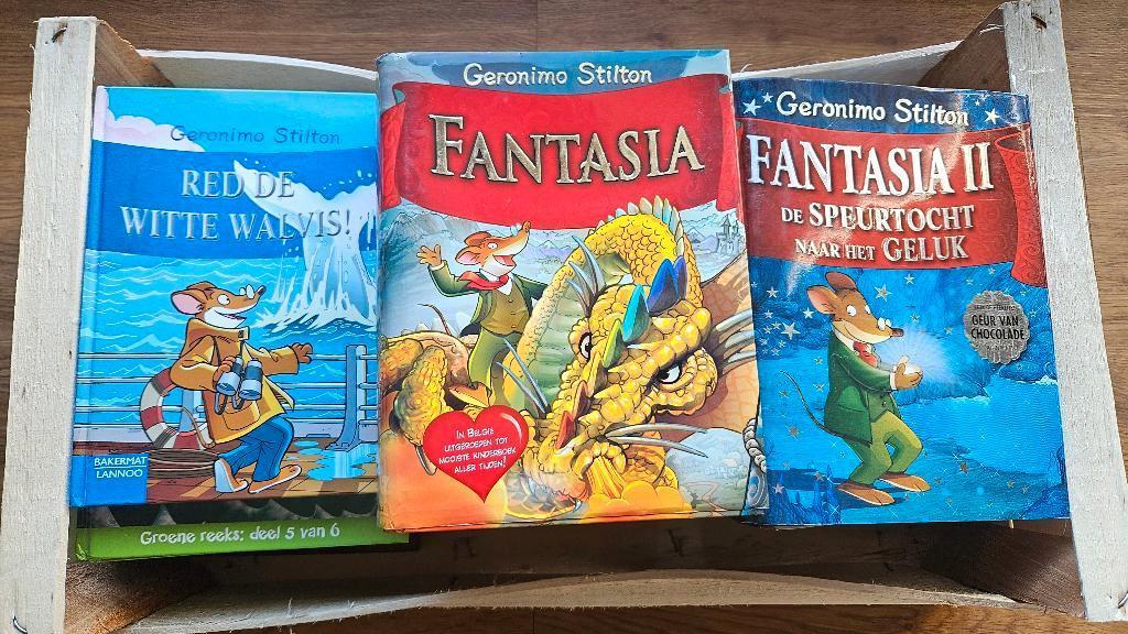 Geronimo Stilton boeken, Boeken, Kinderboeken | Jeugd | onder 10 jaar, Zo goed als nieuw, Sprookjes, Ophalen
