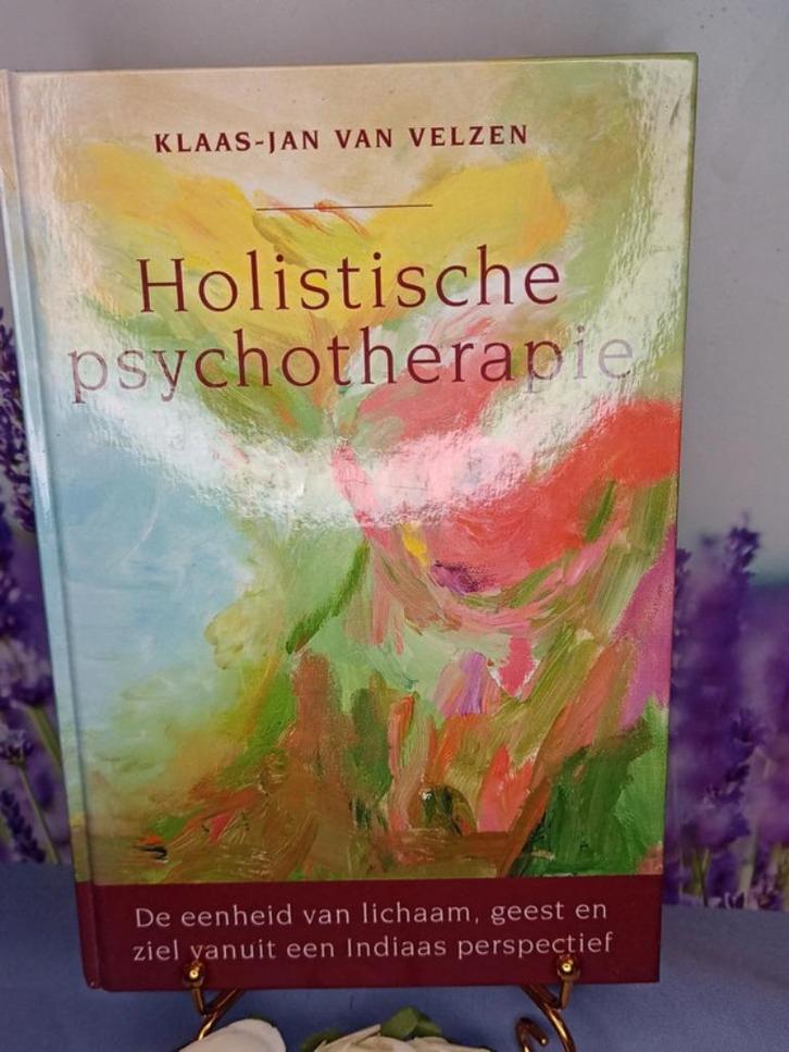 Holistische psychotherapie, Boeken, Psychologie, Zo goed als nieuw, Ophalen of Verzenden