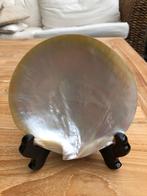 Zeeschelp | Mother of Pearl Shell | Filipijnen | Nieuw, Huis en Inrichting, Ophalen of Verzenden, Nieuw