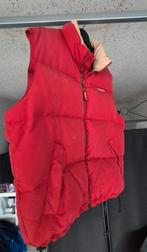 Body warmer Tommy Hilfiger origineel, Ophalen of Verzenden, Zo goed als nieuw, Maat 48/50 (M)