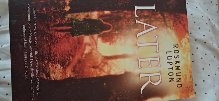 Boek thriller ´Later´, Boeken, Thrillers, Gelezen, Ophalen