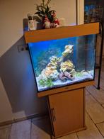 Juwel aquarium  120 liter, Dieren en Toebehoren, Ophalen of Verzenden, Gebruikt