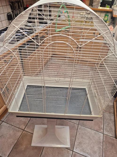Cage pour oiseaux sur pied, Dieren en Toebehoren, Vogels | Hokken en Kooien, Gebruikt, Vogelkooi, Metaal, Ophalen