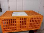 Caisse de transport pour volailles/dindes(modèle grand/haut), Animaux & Accessoires, Enlèvement, Comme neuf