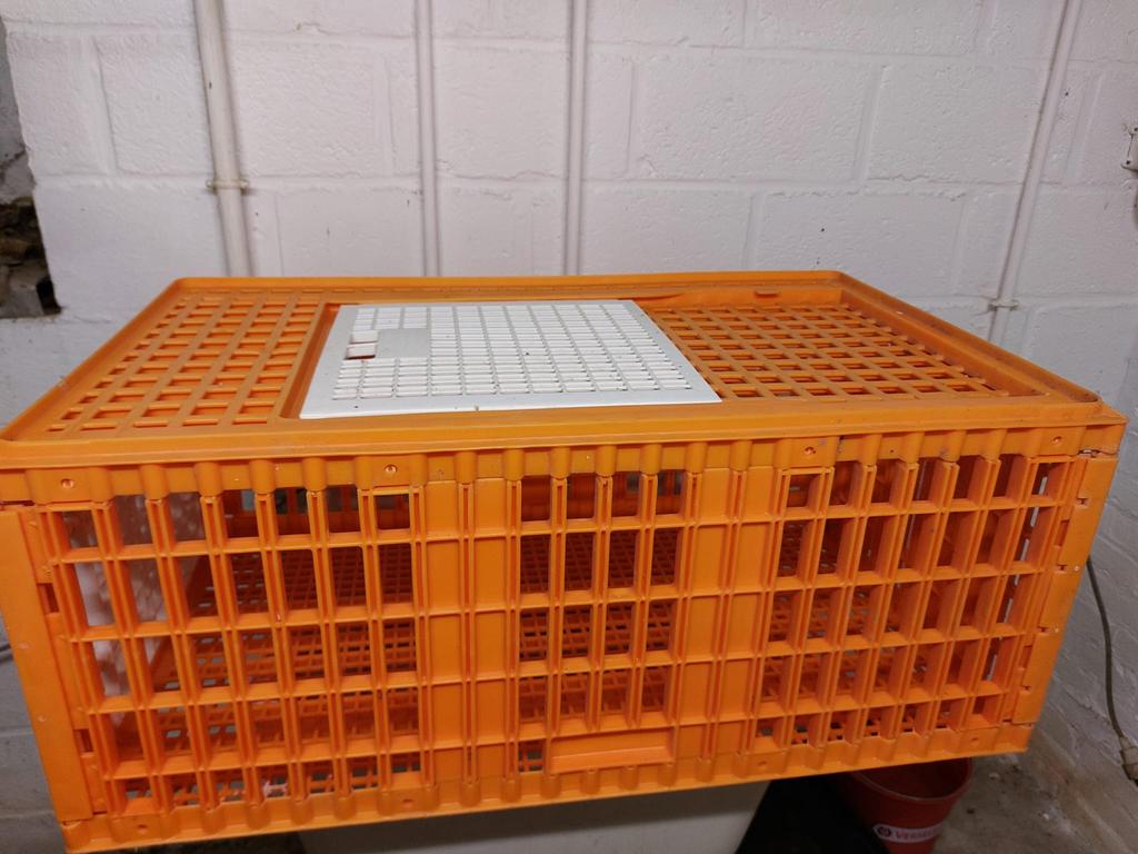 Caisse de transport pour volailles/dindes(modèle grand/haut), Animaux & Accessoires, Volatiles | Accessoires, Comme neuf, Enlèvement