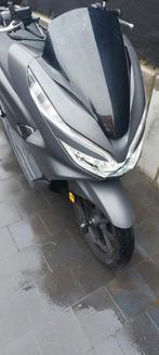 Honda PCX 125cc, Particulier