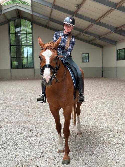 Privéles aangeboden met lespaard, Dieren en Toebehoren, Paarden, Merrie