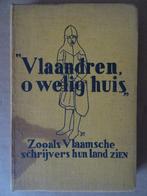 Antiek boek Vlaamsche literatuur 1939 Vlaandren o welig huis, Antiek en Kunst, Diverse auteurs, Ophalen of Verzenden