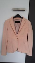 Roze fluwelen blazer maat XS van ZARA, in perfecte staat!, Jasje, Maat 34 (XS) of kleiner, Ophalen of Verzenden, Roze