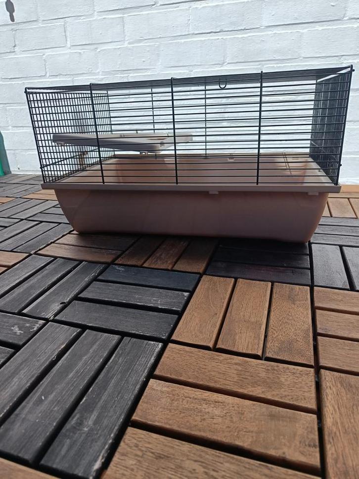 Kooi voor hamsters, Dieren en Toebehoren, Knaagdieren en Konijnen | Hokken en Kooien, Gebruikt, Kooi, Minder dan 60 cm, Minder dan 75 cm