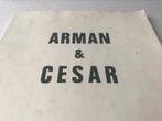 Arman & César Sculptures 100pag, Ophalen of Verzenden, Zo goed als nieuw, Beeldhouwkunst