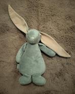 Moonie knuffel, Enlèvement