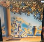 The Moody Blues „Het heden, Ophalen of Verzenden, Gebruikt
